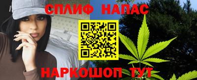 a pvp Гусь-Хрустальный