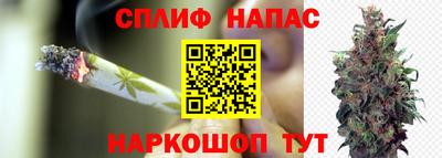 a pvp Гусь-Хрустальный