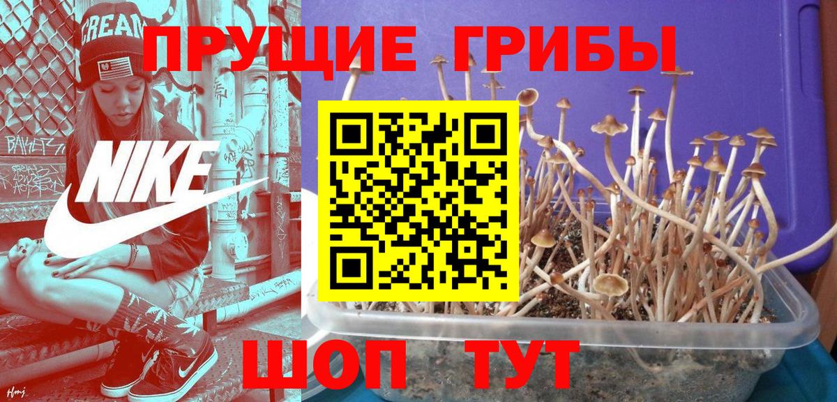 Галлюциногенные грибы ЛСД Михайловск